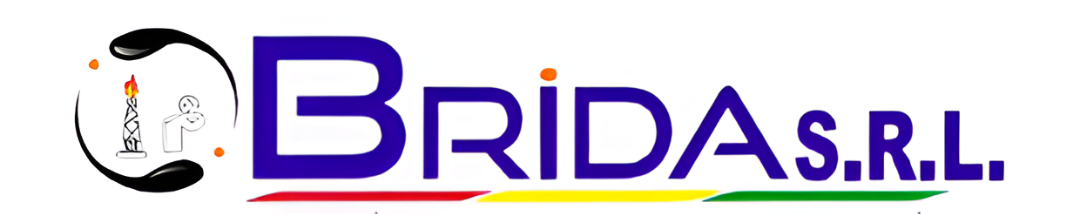 BRIDA Logo